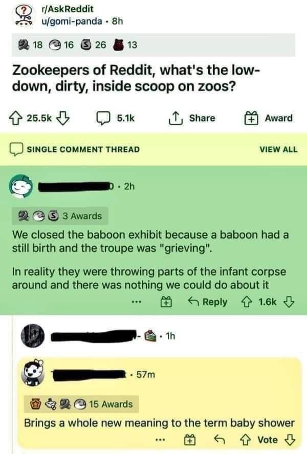 zoo secrets.jpg